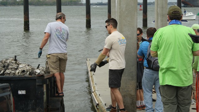 Wounded Nature– Working Veterans