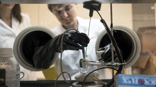 woman working in laboratory
