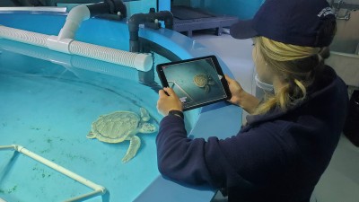 South Carolina Aquarium