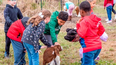 Boosting Environmental Stewardship
