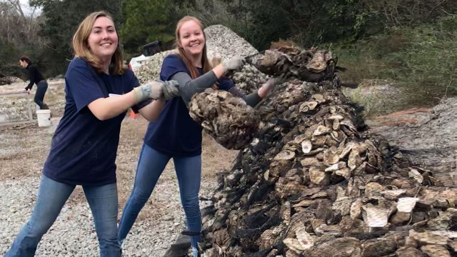 Coastal Federation workers cleaning the coastal waters