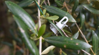 Bosch Smart Irrigation sensing technology