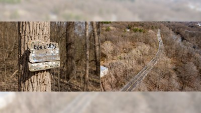 A Tragedy Becomes a Driving Purpose in Life